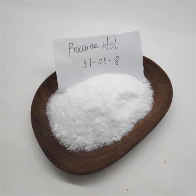 Procaine Hydrochloride 99% CAS 51-05-8 manufacturer in china