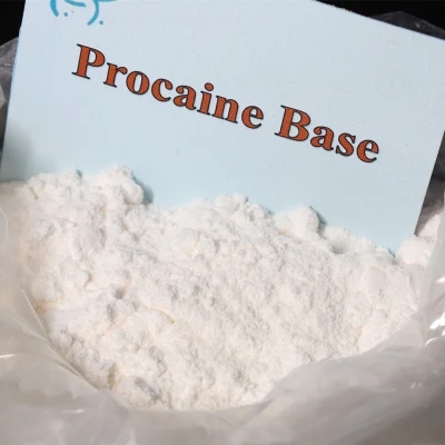 Procaine base 100% pure CAS 59-46-1 China factory